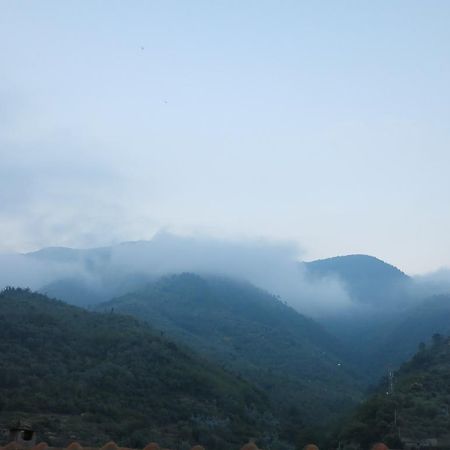 Rustic Liguria Villa Ceriana ภายนอก รูปภาพ