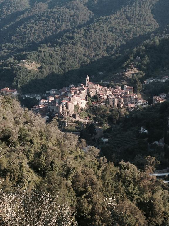 Rustic Liguria Villa Ceriana ภายนอก รูปภาพ